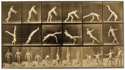 Plate from 